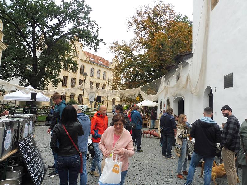 Akční procházka v Českých Budějovicích