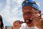 Hlavním hřebem borovanského borůvkobraní je soutěž v pojídání borůvkových knedlíků a koláčů. Miroslav Helbrant si v posledním půlminutě dokázal nacpat do úst celý knedlík. Zajistitl si tím první místo