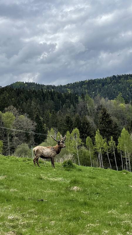 Rožmberské fotografie z výletu travel influencerů v rámci partnerského tripu organizovaného Turistickým spolkem Lipenska s cestovatelskou platformou Worldee.