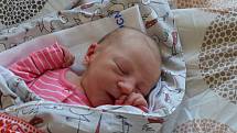 Adéla Puchingerová z Prachatic. Prvorozená dcera Simony Urbanové a Michala Puchingera se narodila 27. 7. 2022 ve 21.48 h, vážila 2,55 kg a měřila 47 cm.