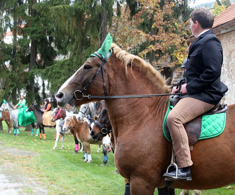 Tradiční Hubertskou jízdu ve Skalici u Bohumilic opanovaly ženy