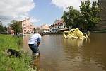 Instalace žluté chobotnice Elišky ve Slepém rameni řeky Malše byla poměrně složitá. Pětimetrová socha váží přes 300 kilogramů. Do řeky se musela nejdříve postavit konstrukce a k ní se Eliška přivázala.