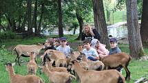 Příměstský tábor VSKH Pohodáři na malé farmě u Pilmanova rybníka v Českých Budějovicích.