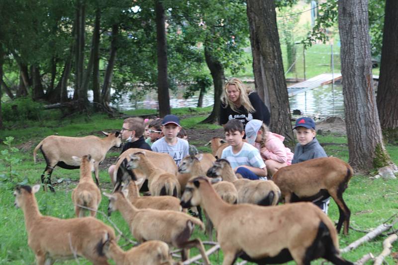 Příměstský tábor VSKH Pohodáři na malé farmě u Pilmanova rybníka v Českých Budějovicích.