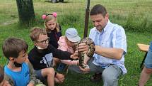 Příměstský tábor VSKH Pohodáři na malé farmě u Pilmanova rybníka v Českých Budějovicích.