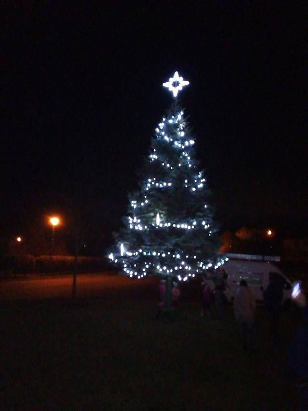 Vánoční strom v Jankově. Foto: Marie Vaňková