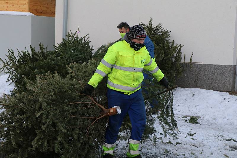 Začal svoz vánočních stromků v Českých Budějovicích.