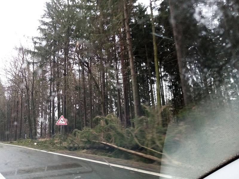 Před Lišovem ve směru od Českých Budějovic spadl strom na silnici a jeden byl nalomený. Doprava zde asi půl hodiny stála, než hasiči překážku odstranili.