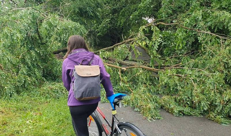 Nevídaná bouřka poničila sportovcům cyklistickou stezku České Budějovice - Hluboká