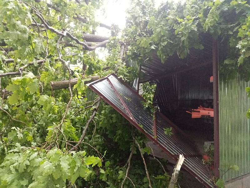 Na psí kotce a na garáž spadly Ivanovi Horáčkovi z Chlumu u Třeboně při sobotním dešti a větru čtyři stromy.