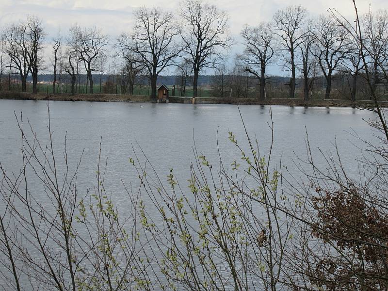 Přírodní rezervace leží na severozápadním okraji Českých Budějovic a má rozlohu 245,8 ha. Zahrnuje čtyři rybníky, mokřady a louky. Vyznačuje se bohatou a unikátní faunou i flórou.