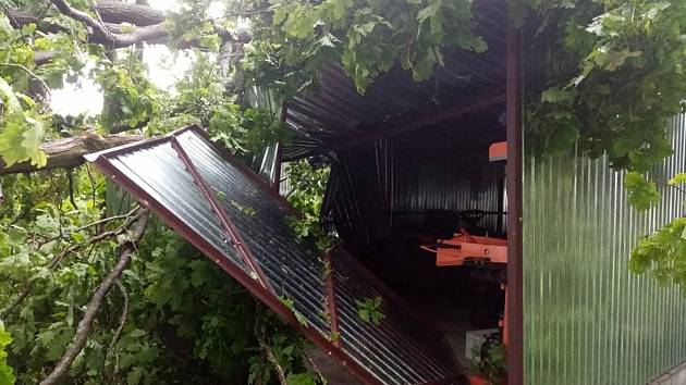 Na psí kotce a na garáž spadly Ivanovi Horáčkovi z Chlumu u Třeboně při sobotním dešti a větru čtyři stromy.