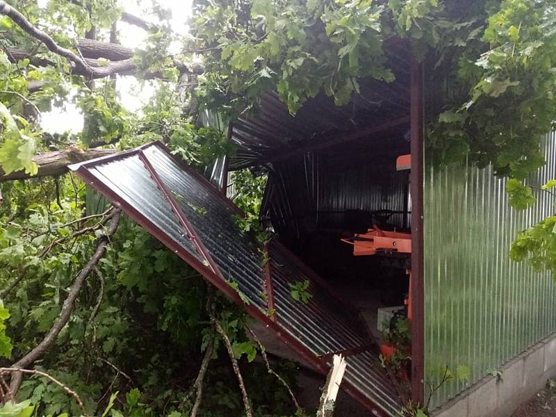 Na psí kotce a na garáž spadly Ivanovi Horáčkovi z Chlumu u Třeboně při sobotním dešti a větru čtyři stromy.