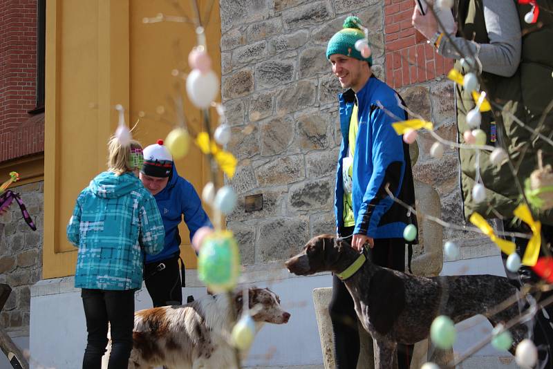 V neděli patřila Hluboká nad Vltavou sportovcům. Dopoledne vyběhli na 5 nebo 10 km dlouhou trať krosového běhu, odpoledne odstartoval canicrossový závod pro běžce se psy.