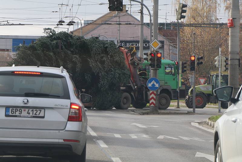 Vánoční strom pro České Budějovice.