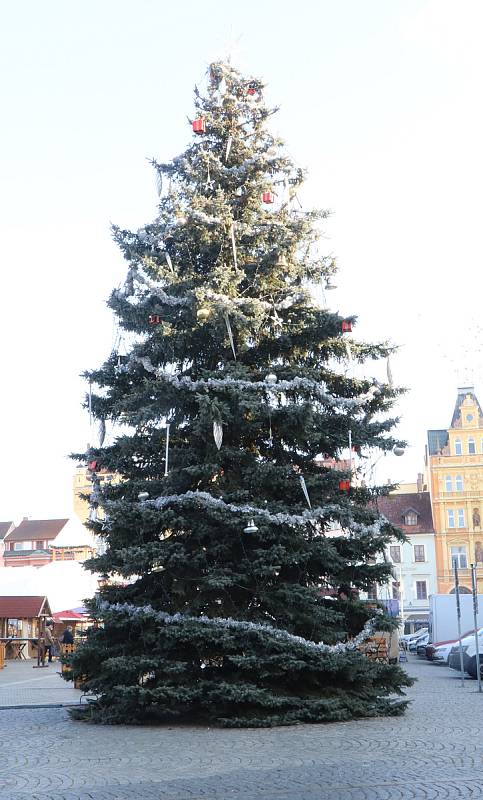 Vánoční strom v Českých Budějovicích.