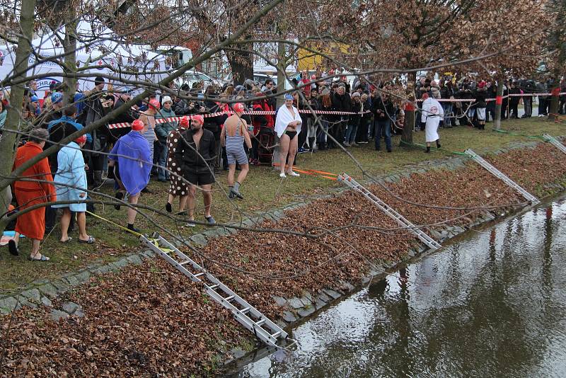 Otužilci na slepém rameni Malše v Českých Budějovicích