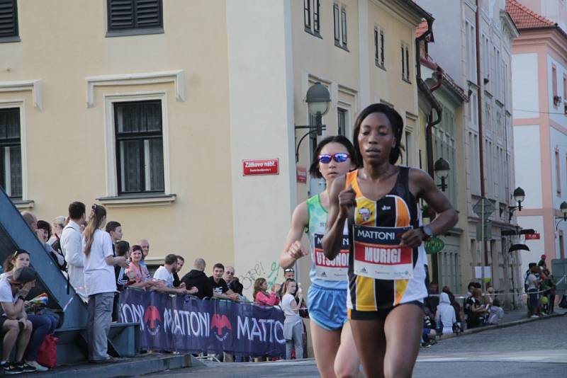 Závodníci Mattoni 1/2Maratonu 2016 v Českých Budějovicích.