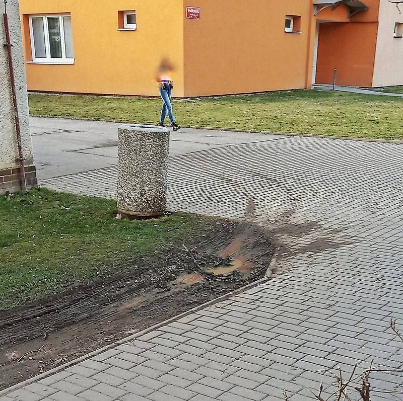 Poškozování části chodníku neomalenými řidiči zásilky služeb a osobních aut