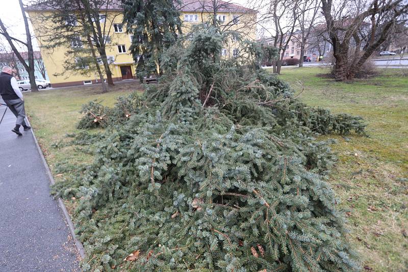 Extrémně silný vítr v Českých Budějovicích na Pražském předměstí vyvrátil stromy.