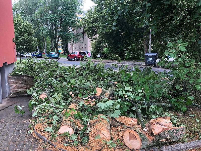 Následky pondělní bouřky na Pražském předměstí v Českých Budějovicích.
