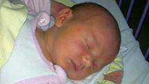 Viktorka Šedivá se narodila ve středu 9.4.2014. Doma v Soběnově už na ni netrpělivě čekaly sestřičky šestiletá Monča a tříletá Markétka.