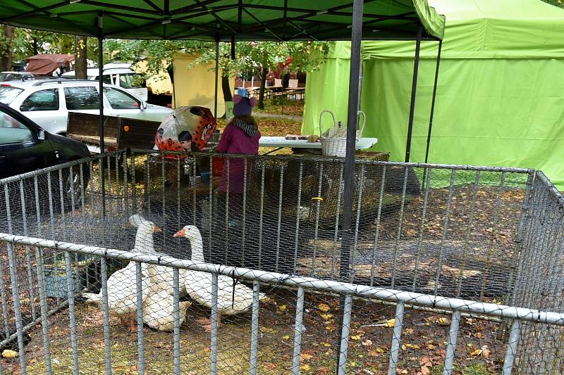 Farmářské trhy mohli lidé navštívit v Bedřichových sadech v Týně nad Vltavou.