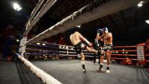 Galavečer bojových umění v pravidlech boje K1 rules a Muay Thai Gladiators Pardál night v českobudějovické Gerbeře.