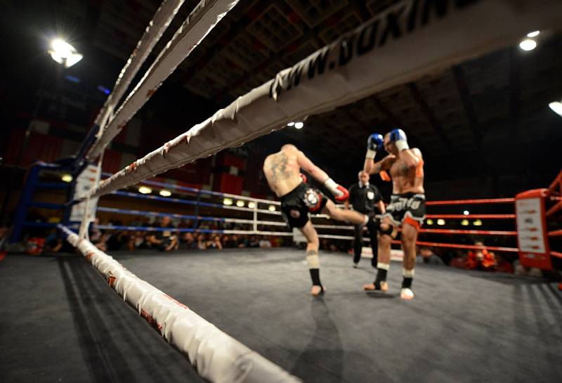 Galavečer bojových umění v pravidlech boje K1 rules a Muay Thai Gladiators Pardál night v českobudějovické Gerbeře.