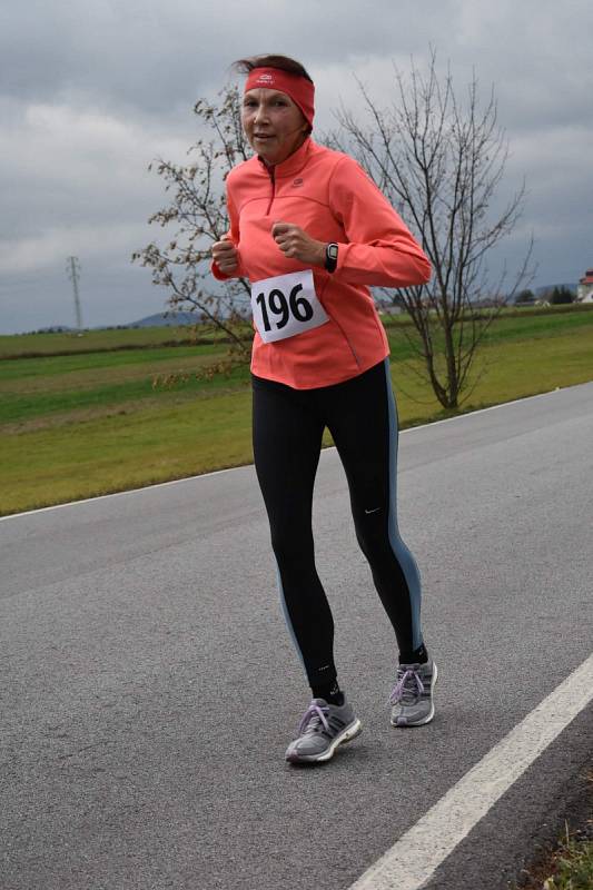 Učitelé z Českých Budějovic se chystají na půlmaraton