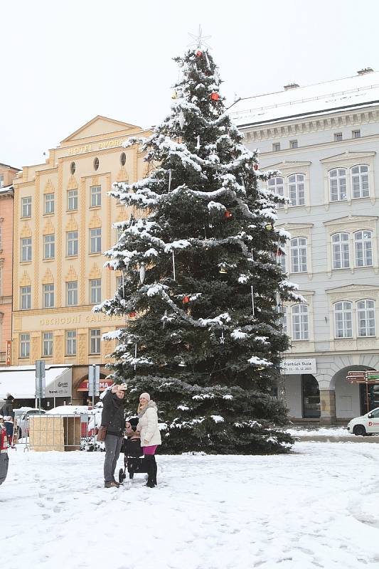 Vánoční strom v Budějovicích už svítí, v neděli ho přizdobil sníh