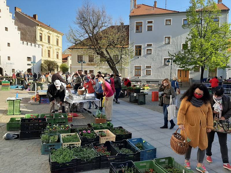 První farmářský trh na Piaristickém náměstí.