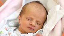 Veronika a Richard Perzlovi jsou pyšnými rodiči novorozené Viktorie Perzlové. Na světě ji přivítali 21. 8. 2020 v 9.29 h., vážila 2,39 kg. Poznávat svět bude v Třeboni.