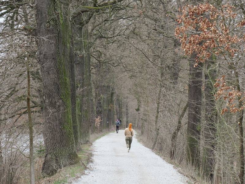 Přírodní rezervace leží na severozápadním okraji Českých Budějovic a má rozlohu 245,8 ha. Zahrnuje čtyři rybníky, mokřady a louky. Vyznačuje se bohatou a unikátní faunou i flórou.