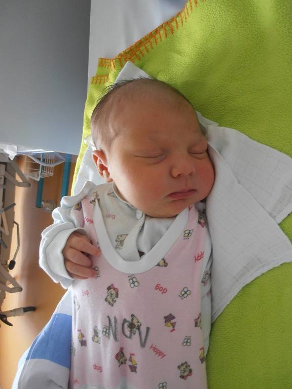 České Budějovice budou domovem pro prvorozenou Annu Klímovou. Ta se na svět poprvé podívala v pondělí 25. 4. 2016 v 19 hodin a 58 minut. Anička vážila 3, 88 kg.