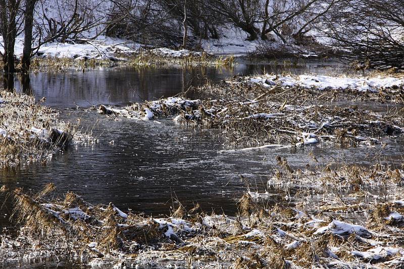 Čtyřproudá silnice a bobří hráz – neobvyklá kombinace jen kousek od hranic s Německem.