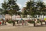 Na náměstí Přemysla Otakara II. chce rada města změnit dopravní poměry a umístit stromy.