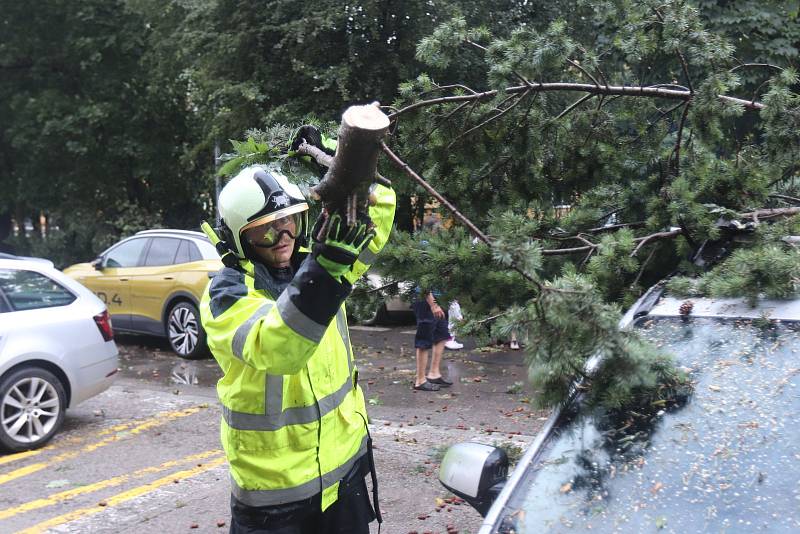 Důsledky bouře v Českých Budějovicích v Průběžné ulici, kde spadlo několik stromů a hasiči a místní odklízeli větve.