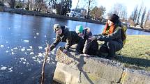 V Českých Budějovicích se teplota v pátek 14. ledna dostala nad 12 °C. Sluníčko vylákalo do ulic spoustu lidí.