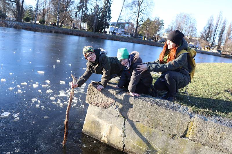 V Českých Budějovicích se teplota v pátek 14. ledna dostala nad 12 °C. Sluníčko vylákalo do ulic spoustu lidí.