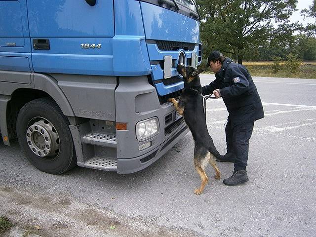 Policejní kontrola na silnici mezi Českými Budějovicemi a Veselím nad Lužnicí.