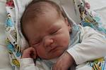 Filip Krejčí z Bechyně. Prvorozený syn Šárky Majerové a Tomáše Krejčího se narodil 3. 9. 2022 v 9.59 hodin. Při narození vážil 3950 g a měřil 52 cm.
