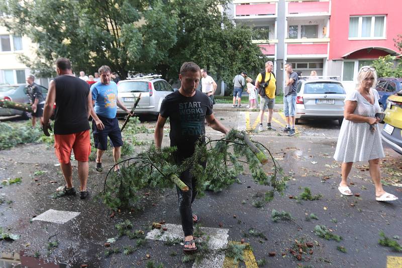 Důsledky bouře v Českých Budějovicích v Průběžné ulici, kde spadlo několik stromů a hasiči a místní odklízeli větve.