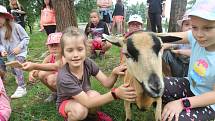 Příměstský tábor VSKH Pohodáři na malé farmě u Pilmanova rybníka v Českých Budějovicích.