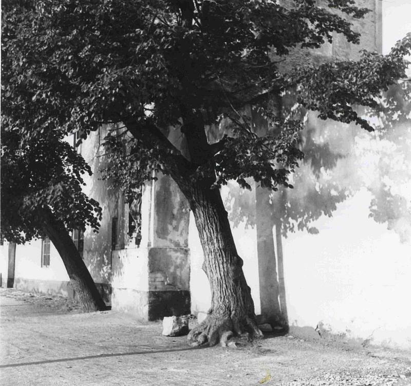 Kaplička za klášterem u slepého ramene, 1930. Foto ze sbírky fotografií a pohlednic Jiřího Dvořáka poskytl Státní okresní archiv České Budějovice