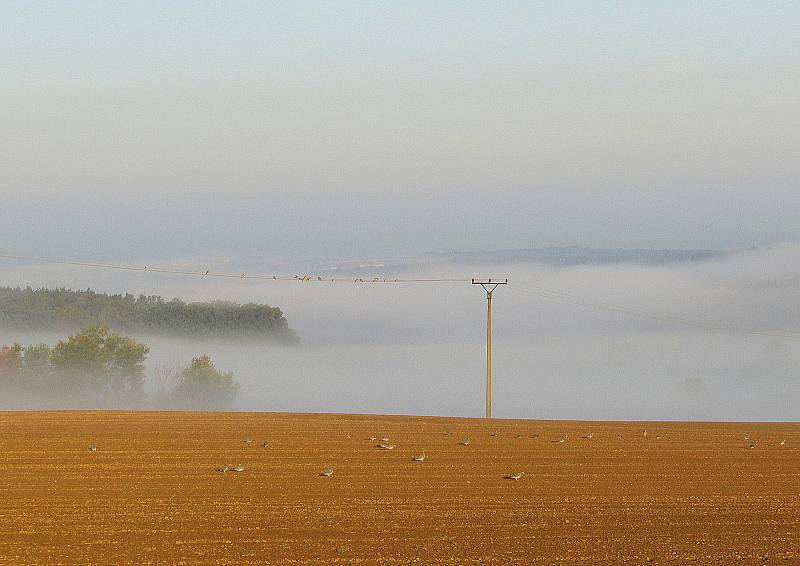 Podzimní západy slunce, ranní mlha a červánky, to jsou meteorologické jevy, které stále fascinují. Odborníci prozradili, jak vznikají.