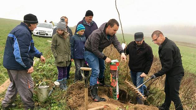 Dobrovolníci pracují, aby podpořili komunitní život ve svých obcí. Tak je to mu i ve Svatém Janu nad Malší, kde vysadili stromořadí.