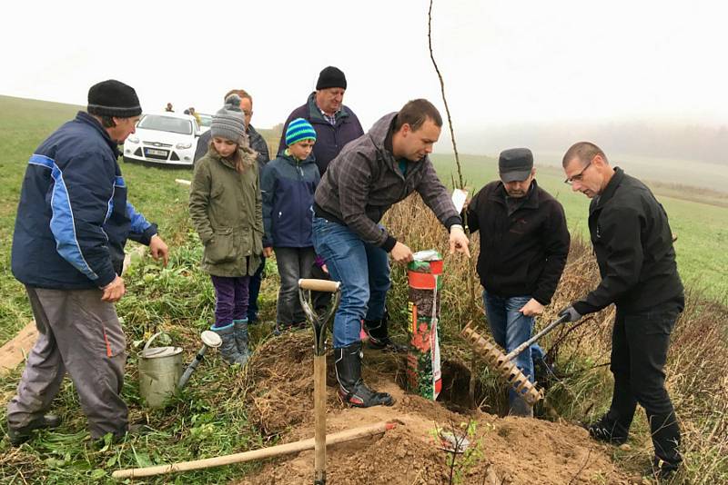 Dobrovolníci pracují, aby podpořili komunitní život ve svých obcí. Tak je to mu i ve Svatém Janu nad Malší, kde vysadili stromořadí.