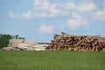 Nabídka kůrovcového dřeva převyšuje poptávku, což ovlivňuje i ceny smrkových sortimentů.