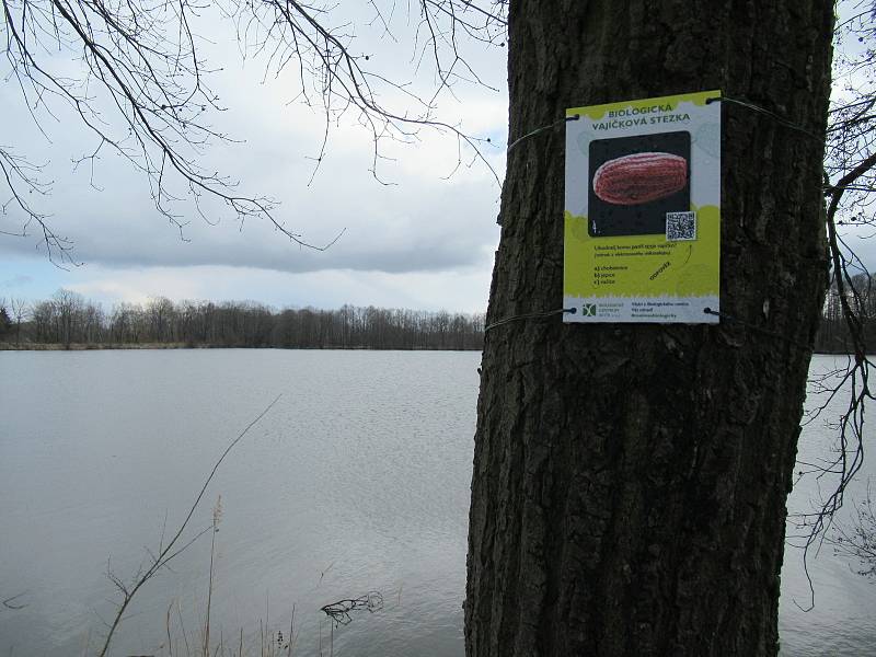 Přírodní rezervace leží na severozápadním okraji Českých Budějovic a má rozlohu 245,8 ha. Zahrnuje čtyři rybníky, mokřady a louky. Vyznačuje se bohatou a unikátní faunou i flórou.